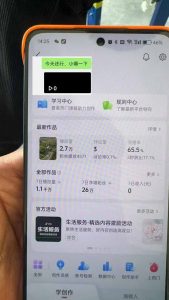 抖音暴力涨粉技术：一天轻松1-10万粉，技术不确定真实性，自测-搞机圈