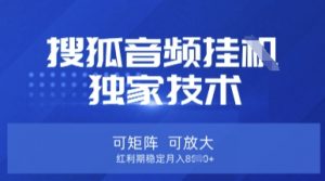 【搜狐音频挂G】独家技术，可矩阵可放大，红利期稳定月入8k【揭秘】-搞机圈