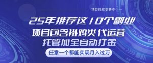 25年推荐这10个副业项目包含褂鸡类、代运营托管类、全自动打金类【揭秘】-搞机圈