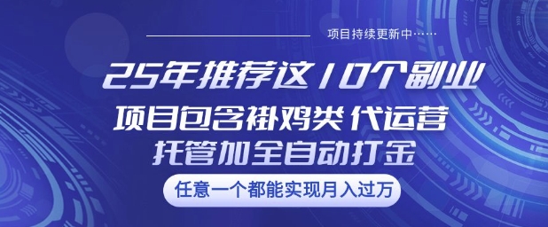 25年推荐这10个副业项目包含褂鸡类、代运营托管类、全自动打金类【揭秘】-搞机圈