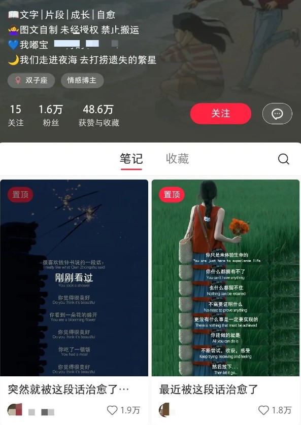 小红书治愈文案图文笔记，零门槛，一分钟制作轻松制作爆款作品月入万元-搞机圈
