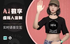 Ai数字人虚拟(智能体)实时语音交互特训营,自行定制超写实角色AI数字人交互技术-搞机圈
