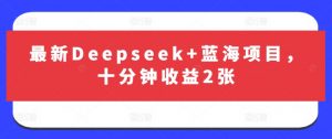 最新Deepseek+蓝海项目，十分钟收益2张-搞机圈