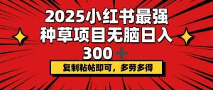 2025小红书最强种草项目，无脑日入300+，复制粘帖即可，多劳多得-搞机圈