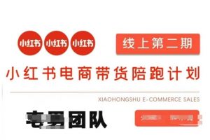 小红书电商带货课2期，月利润20个的小红书电商的有货源，无货源，虚拟产品，付费投流等整套玩法-搞机圈