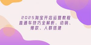 2025淘宝开店运营教程更新，直通车技巧全解析，动销、爆款、人群搭建-搞机圈