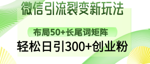 微信引流裂变新玩法：布局50+长尾词矩阵，轻松日引300+创业粉-搞机圈