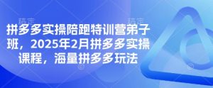 拼多多实操陪跑特训营弟子班，2025年2月拼多多实操课程，海量拼多多玩法-搞机圈