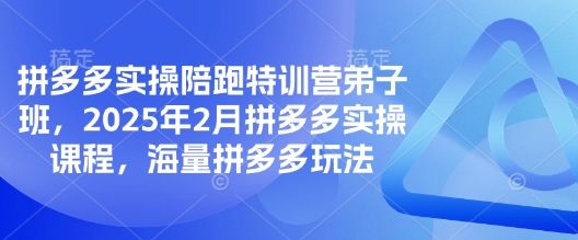 拼多多实操陪跑特训营弟子班，2025年2月拼多多实操课程，海量拼多多玩法-搞机圈