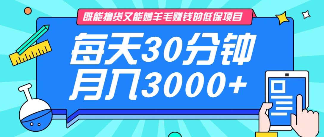 既能撸货又能赚钱的长期低保项目，每天30分钟，多号百分百稳定月入3000+！-搞机圈