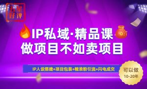 2025年“IP私域·密训精品课”，日赚3000+小白避坑年赚百万，暴力引流...-搞机圈