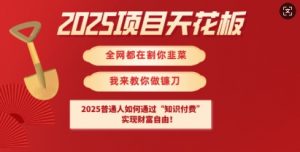 2025项目天花板普通人如何通过知识付费，实现财F自由【揭秘】-搞机圈
