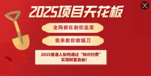 2025项目天花板普通人如何通过知识付费，实现财F自由【揭秘】-搞机圈