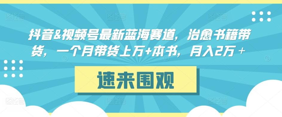 抖音&视频号最新蓝海赛道，治愈书籍带货，一个月带货上万+本书，月入2万＋【揭秘】-搞机圈