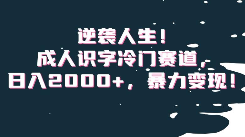 逆袭人生！成人识字冷门赛道，日入2000+，暴力变现！【揭秘】-搞机圈