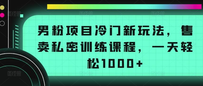男粉项目冷门新玩法，售卖私密训练课程，一天轻松1000+【揭秘】-搞机圈