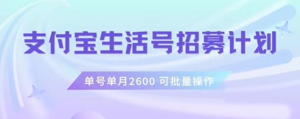 支付宝生活号作者招募计划，单号单月2600，可批量去做，工作室一人一个月轻松1w+【揭秘】-搞机圈