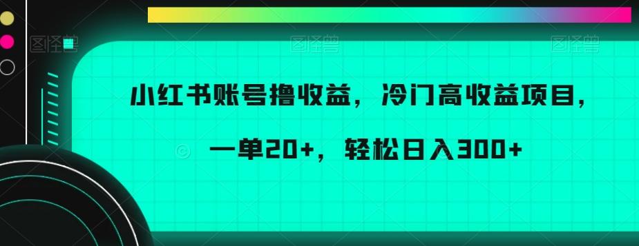 小红书账号撸收益，冷门高收益项目，一单20+，轻松日入300+【揭秘】-搞机圈