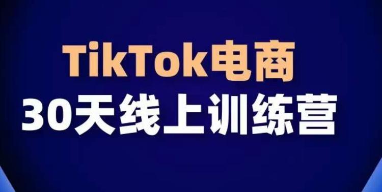 TikTok电商带货30天线上课，不可错过的全球流量洼地！-搞机圈