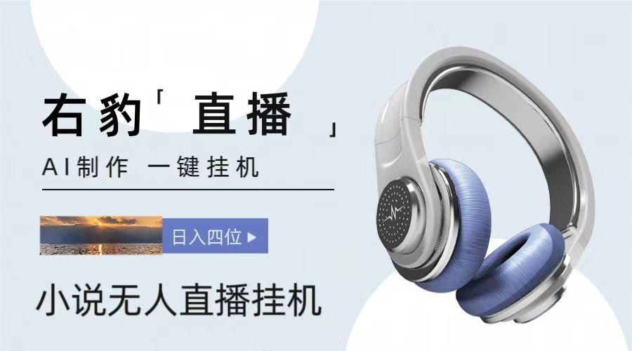 右豹小说无人直播挂机吸金项目,简单易行收益稳定, 月入1000+-搞机圈