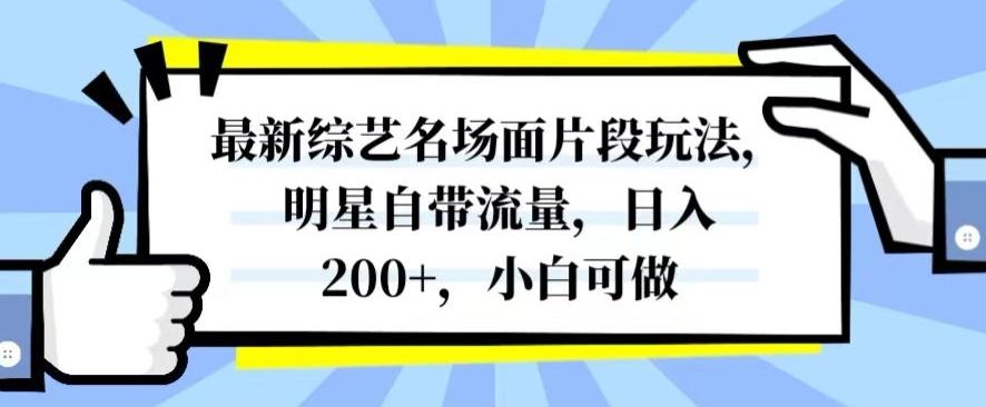最新综艺名场面片段玩法，明星自带流量，日入200+，小白可做【揭秘】-搞机圈