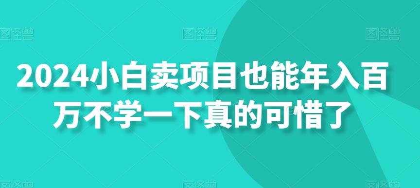 2024小白卖项目也能年入百万不学一下真的可惜了-搞机圈