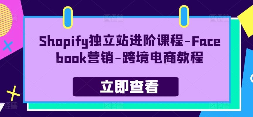 Shopify独立站进阶课程-Facebook营销-跨境电商教程-搞机圈