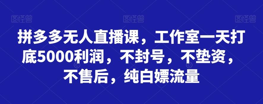 拼多多无人直播课，工作室一天打底5000利润，不封号，不垫资，不售后，纯白嫖流量-搞机圈