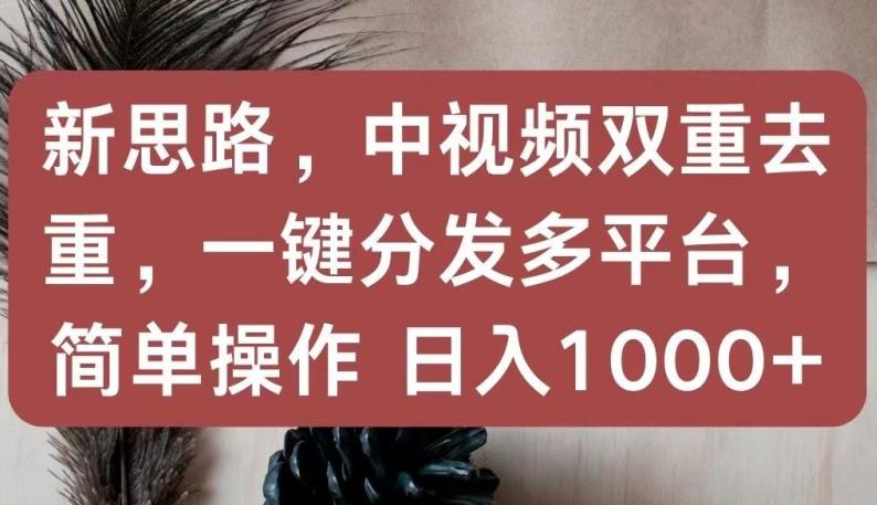 新思路，中视频双重去重，一键分发多平台，简单操作，日入1000+【揭秘】-搞机圈