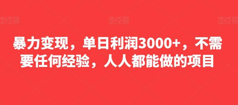 暴力变现，单日利润3000+，不需要任何经验，人人都能做的项目-搞机圈
