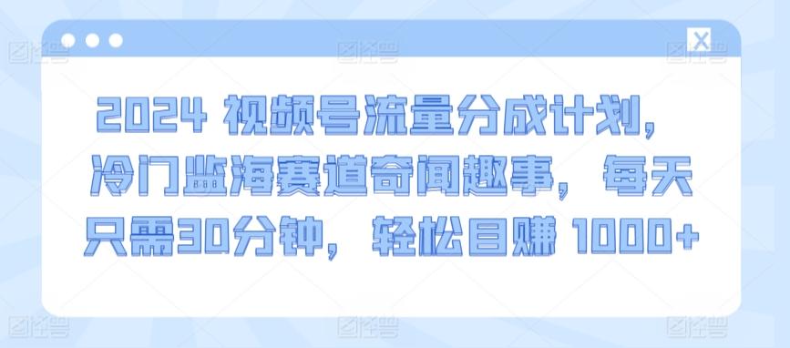 2024视频号流量分成计划，冷门监海赛道奇闻趣事，每天只需30分钟，轻松目赚 1000+【揭秘】-搞机圈