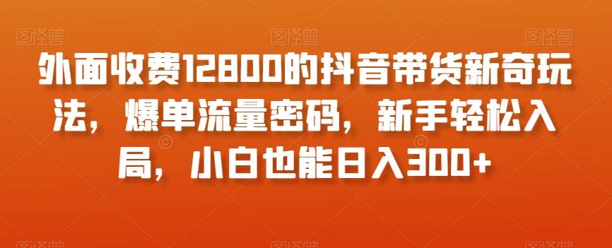 外面收费12800的抖音带货新奇玩法，爆单流量密码，新手轻松入局，小白也能日入300+【揭秘】-搞机圈