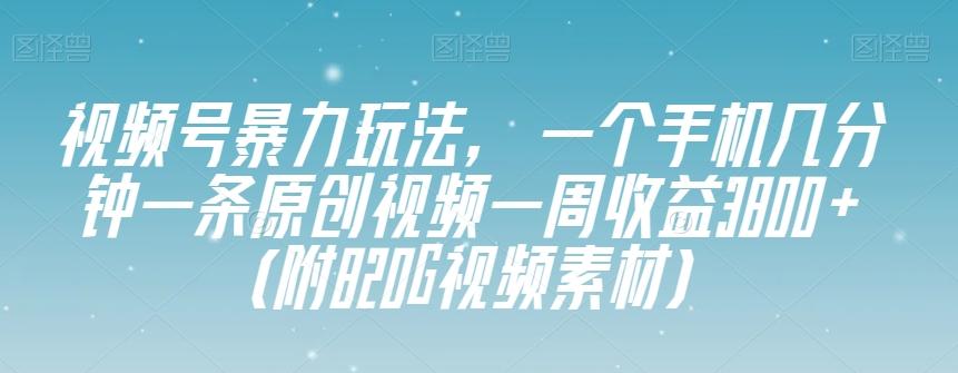 视频号暴力玩法，一个手机几分钟一条原创视频一周收益3800+（附820G视频素材）-搞机圈