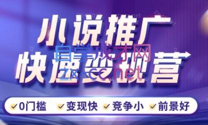 洲洲老师·小说推广快速变现营-搞机圈