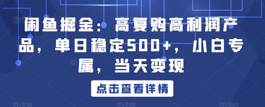 闲鱼掘金：高复购高利润产品，单日稳定500+，小白专属，当天变现-搞机圈
