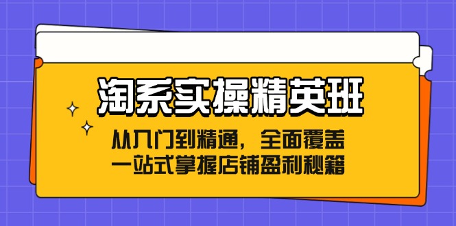 淘系实操精英班：从入门到精通，全面覆盖，一站式掌握店铺盈利秘籍-搞机圈