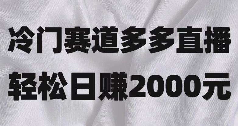 冷门赛道拼多多直播，简单念稿子，日收益2000＋【揭秘】-搞机圈