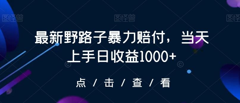 最新野路子暴力赔付，当天上手日收益1000+【仅揭秘】-搞机圈