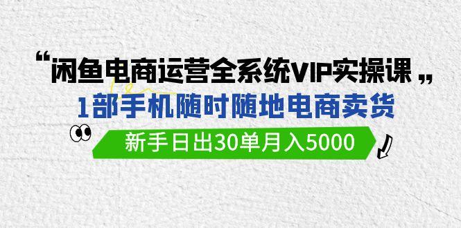 (9547期)闲鱼电商运营全系统VIP实战课，1部手机随时随地卖货，新手日出30单月入5000-搞机圈