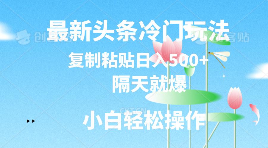 最新头条冷门玩法，隔天就爆，复制粘贴日入500+-搞机圈