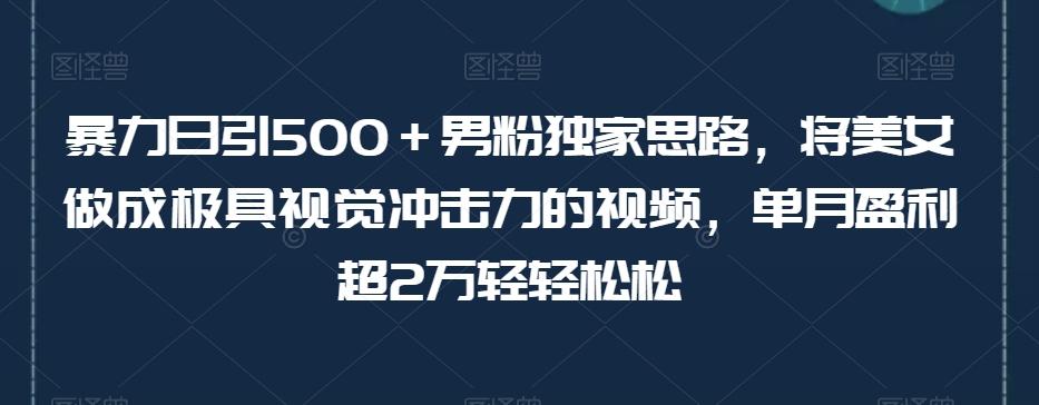 暴力日引500＋男粉独家思路，将美女做成极具视觉冲击力的视频，单月盈利超2万轻轻松松-搞机圈