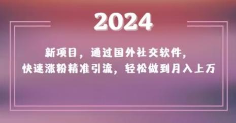 2024新项目，通过国外社交软件，快速涨粉精准引流，轻松做到月入上万【揭秘】-搞机圈