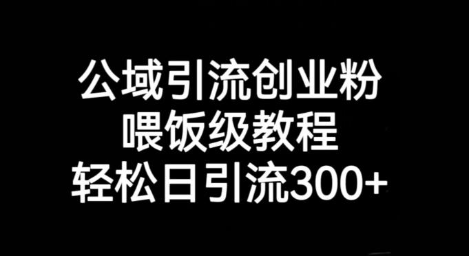 公域引流创业粉，喂饭级教程，轻松日引流300+【揭秘】-搞机圈