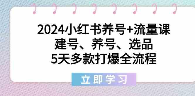 2024小红书养号+流量课：建号、养号、选品，5天多款打爆全流程-搞机圈