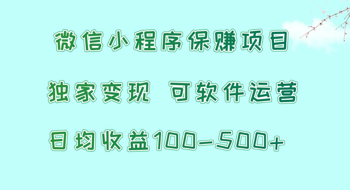 微信小程序保赚项目，日均收益100~500+，独家变现，可软件运营-搞机圈
