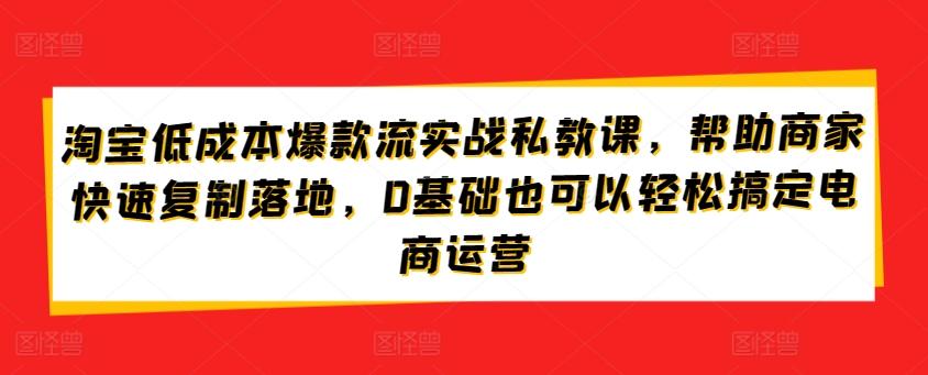 淘宝低成本爆款流实战私教课，帮助商家快速复制落地，0基础也可以轻松搞定电商运营-搞机圈
