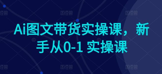 Ai图文带货实操课，新手从0-1 实操课-搞机圈