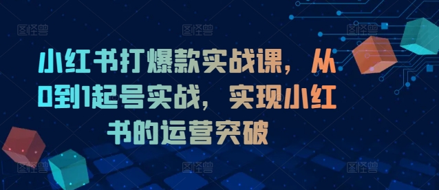 小红书打爆款实战课，从0到1起号实战，实现小红书的运营突破-搞机圈