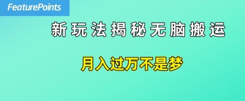简单操作，每天50美元收入，搬运就是赚钱的秘诀【揭秘】-搞机圈