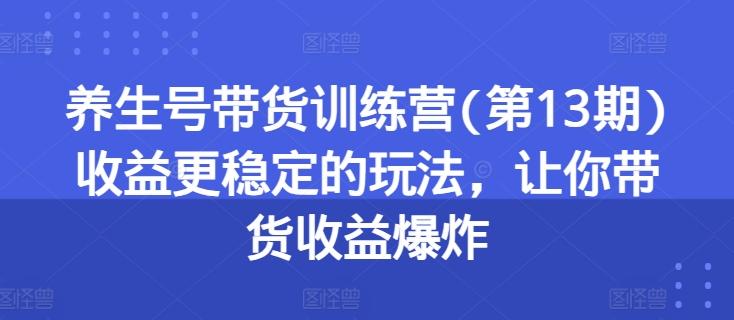 养生号带货训练营(第13期)收益更稳定的玩法，让你带货收益爆炸-搞机圈